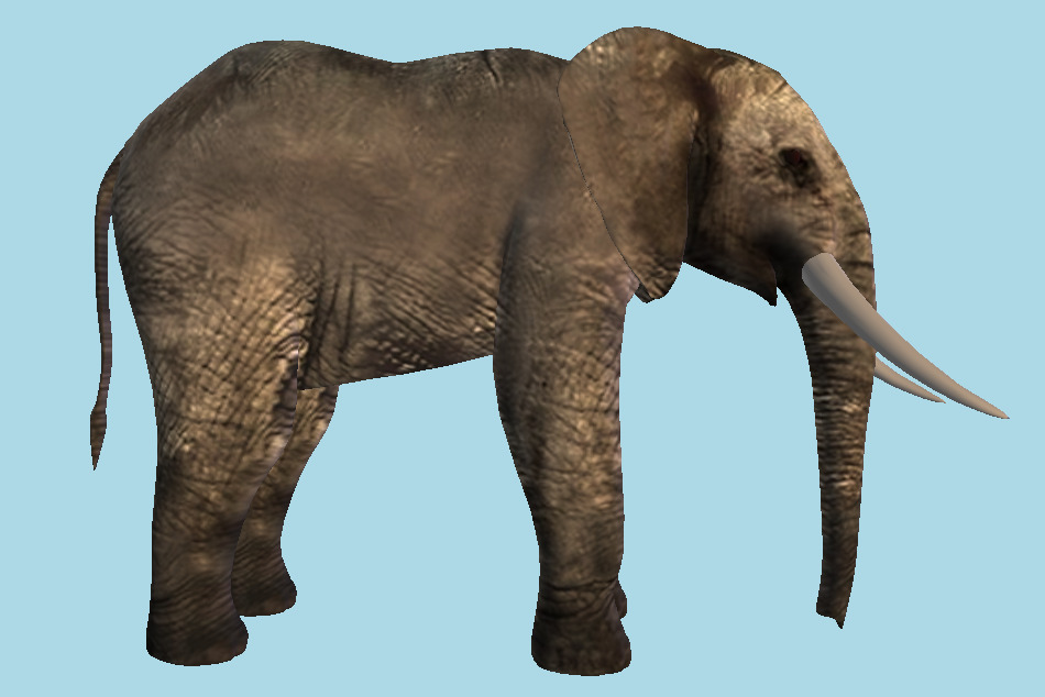 African Elephant Wild Animal 3d model